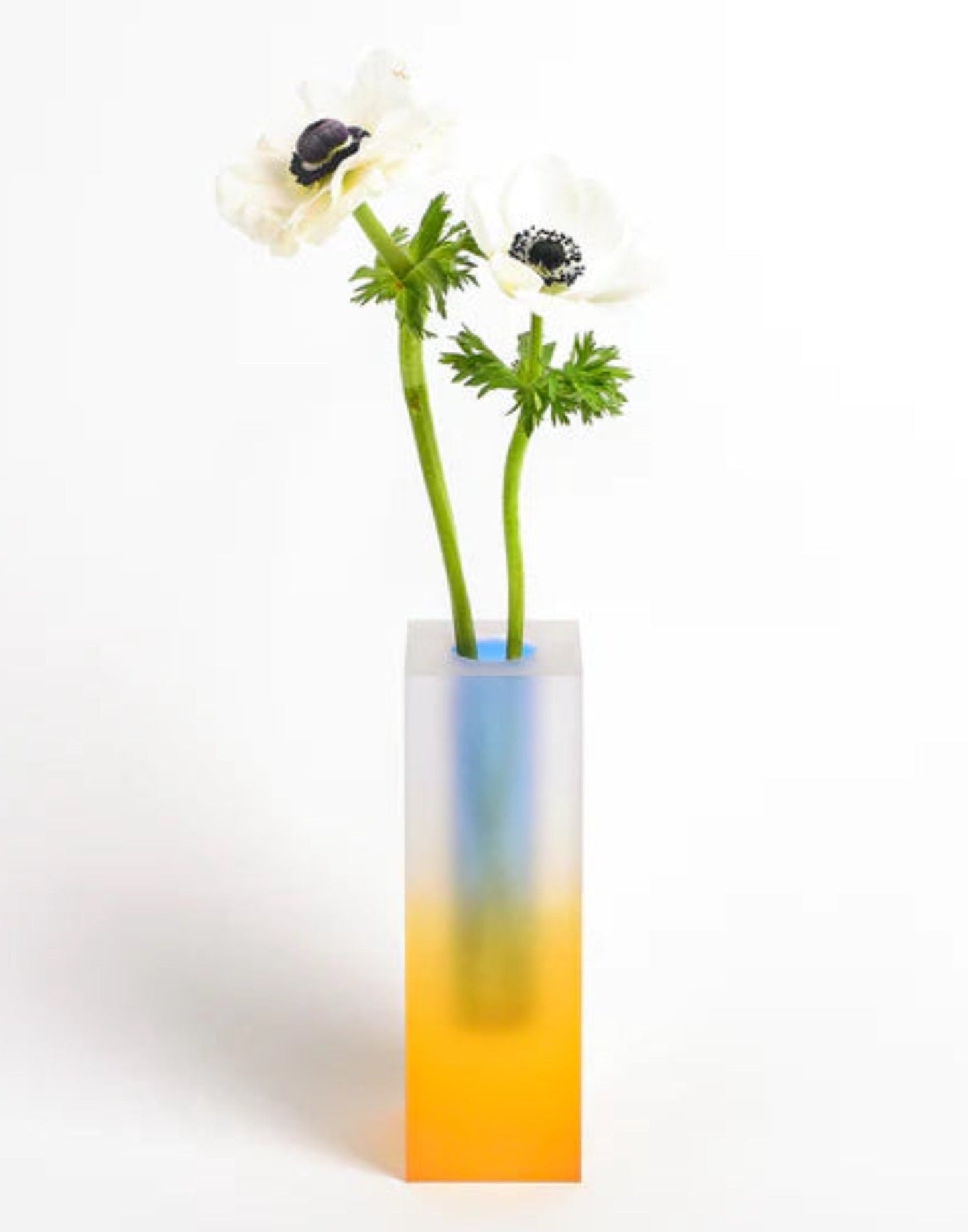 Schillernde Vase - Moderne, skurrile eklektische Dekovase für den Tisch